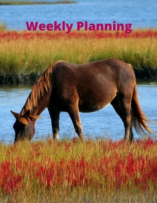 Weekly Planning: For lovers Horse gifts Idea fo... B084DGWKJD Book Cover