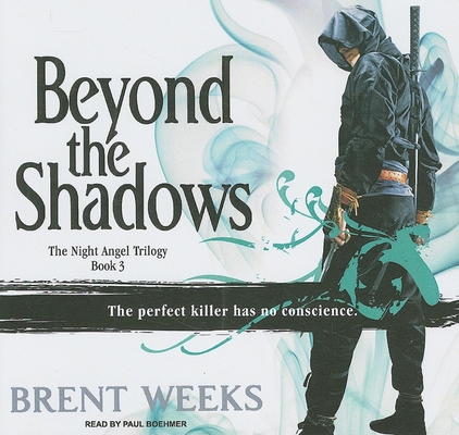 Beyond the Shadows 1400142881 Book Cover