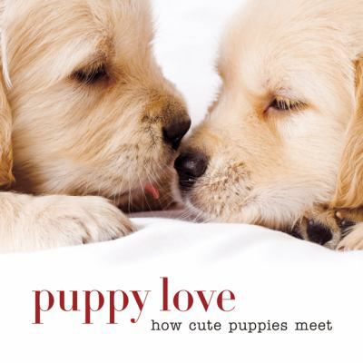 Puppy Love: How Cute Puppies Meet 1454911336 Book Cover