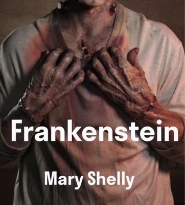 Paperback Frankenstein : (Pierian Classics) Book