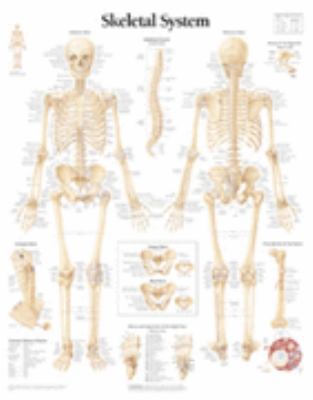 The Skeletal System Chart: Wall Chart 1930633009 Book Cover