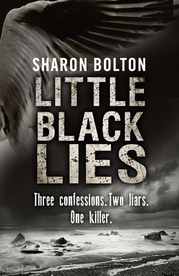 Little Black Lies: Three Confessions. Two Liars... 059306920X Book Cover