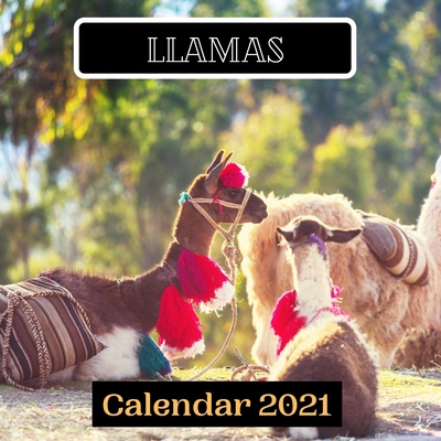 Paperback Llamas Calendar 2021 Book