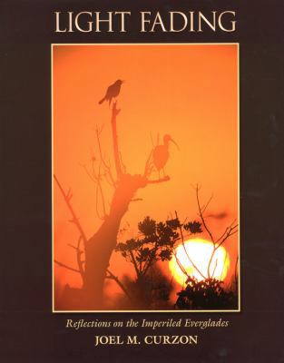 Light Fading: Reflections on the Imperiled Ever... 1931807280 Book Cover