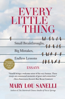 Every Little Thing: Small Breakthroughs, Big Mi... 1633981355 Book Cover