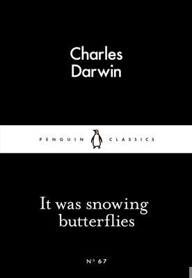 It Was Snowing Butterflies B01BITAUDI Book Cover
