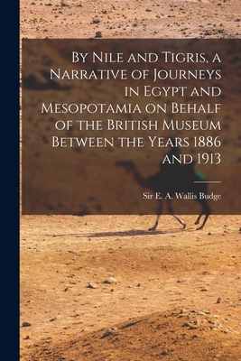 By Nile and Tigris, a Narrative of Journeys in ... 1015838596 Book Cover