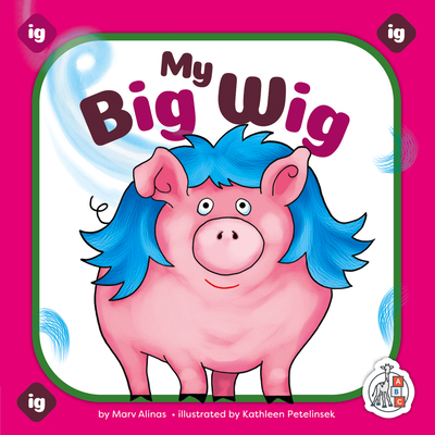 My Big Wig 1503889343 Book Cover