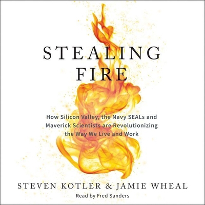 Stealing Fire: How Silicon Valley, the Navy SEA... 1470856077 Book Cover