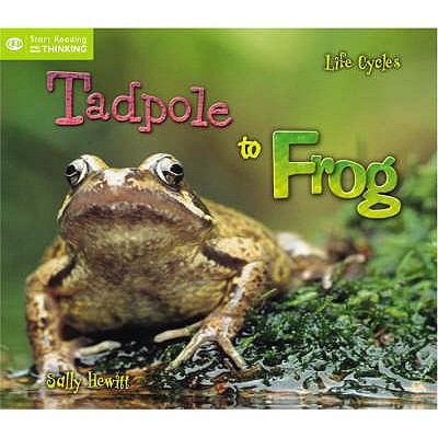 Life Cycles (QED Start Reading and Thinking) 1845384490 Book Cover