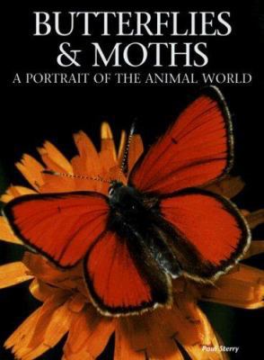 Butterflies & Moths: A Portrait of the Animal W... 1597641146 Book Cover