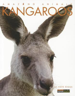 Amazing Animals: Kangaroos 0898126932 Book Cover