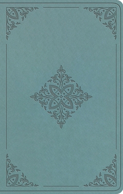 ESV Value Thinline Bible (Trutone, Paris Sky, F... B0DWNGPV5Z Book Cover