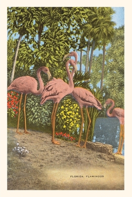 Vintage Journal Flamingos, Florida 1669517837 Book Cover