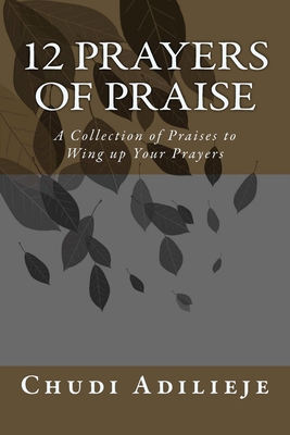 12 Prayers of Praise: A Collection of Praises t... 1530740827 Book Cover