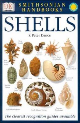 Handbooks: Shells: The Clearest Recognition Gui... 0789489872 Book Cover