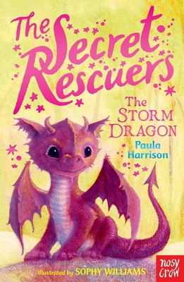 The Secret Rescuers: The Storm Dragon 0857634771 Book Cover
