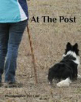 Paperback At the Post Book