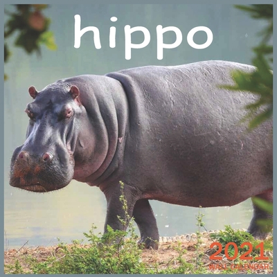 Paperback hippo: 2021 Wall & Office Calendar, 12 Month Calendar Book
