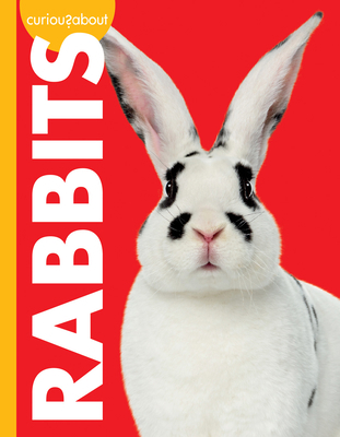 Curious about Rabbits 1681519704 Book Cover