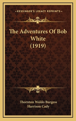 The Adventures of Bob White (1919) 1164253999 Book Cover
