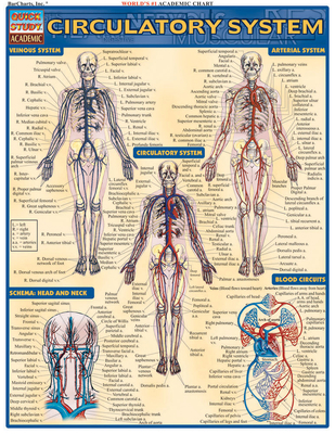 Circulatory System 1572225246 Book Cover