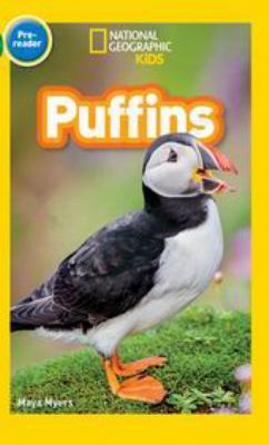 Puffins