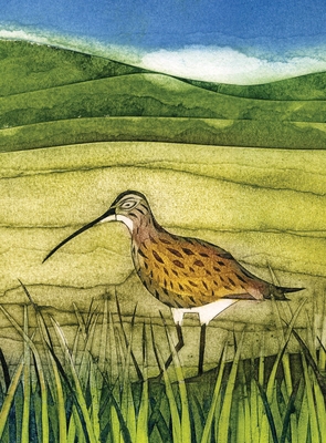Wild Birds Pocket Notebook: Curlew 178027937X Book Cover