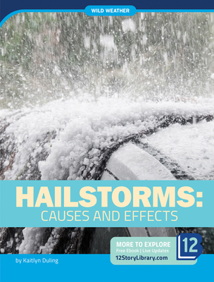 Hailstorms: Causes and Effects 1645821862 Book Cover