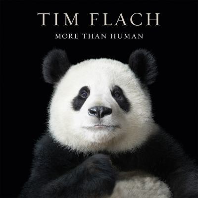 More Than Human 1419705520 Book Cover
