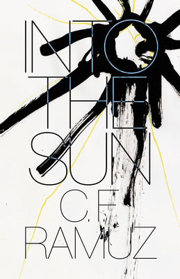 Into the Sun 0811238660 Book Cover