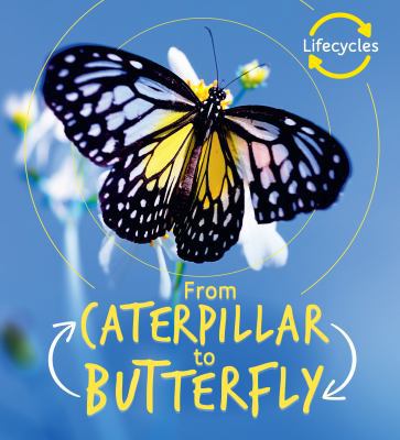 From Caterpillar to Butterfly 1786036150 Book Cover