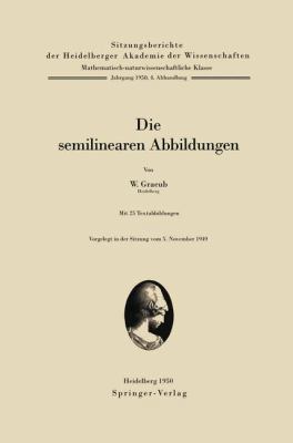 Die Semilinearen Abbildungen [German] 3540014993 Book Cover