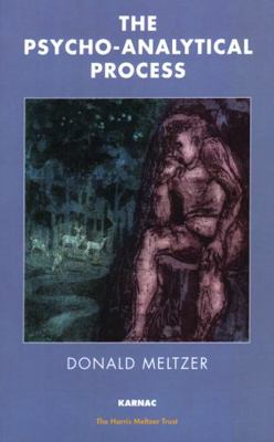 The Psycho-Analytical Process (Psychology, Psyc... B002JIJ7FK Book Cover