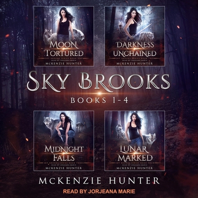 Sky Brooks: Books 1-4 Box Set B08ZBJ4HYV Book Cover
