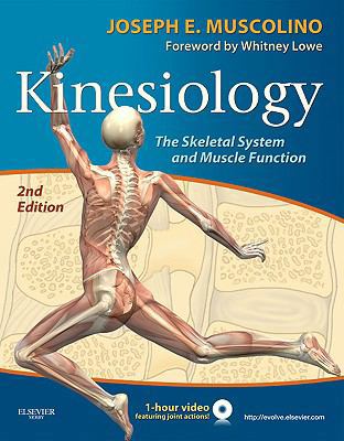Kinesiology : The Skeletal System and Muscle Fu... B007YXYPSO Book Cover