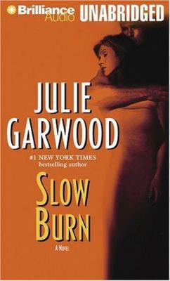 Slow Burn 1590862511 Book Cover