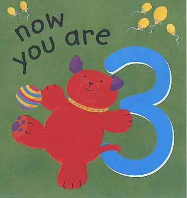 Now You are 3 (Kidz birthday) 074594728X Book Cover