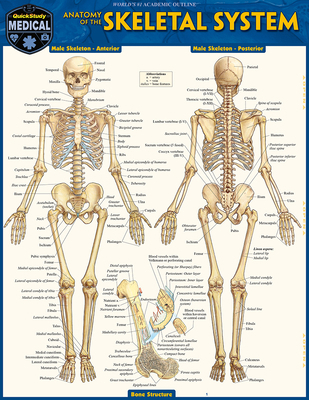 Skeletal System: Advanced: Quickstudy Laminated... 1423215109 Book Cover