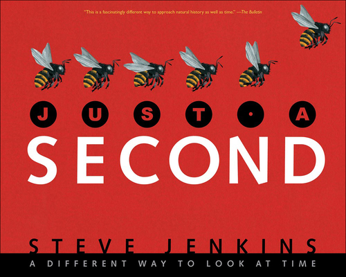 Just a Second: A Different Way to Look at Time 0606404465 Book Cover