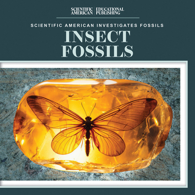 Insect Fossils 1725352028 Book Cover