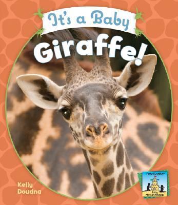 It's a Baby Giraffe! 1604531541 Book Cover