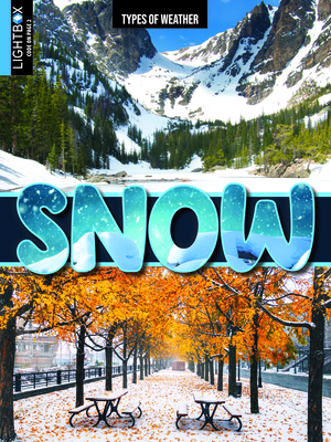 Snow 1510564756 Book Cover