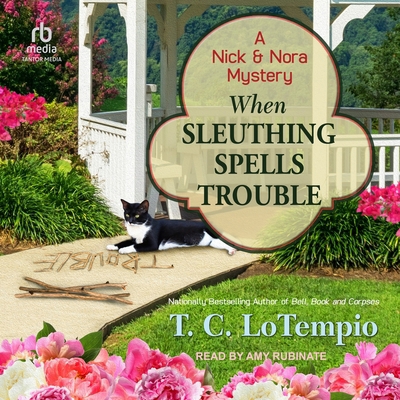 When Sleuthing Spells Trouble B0H42G4RRZ Book Cover