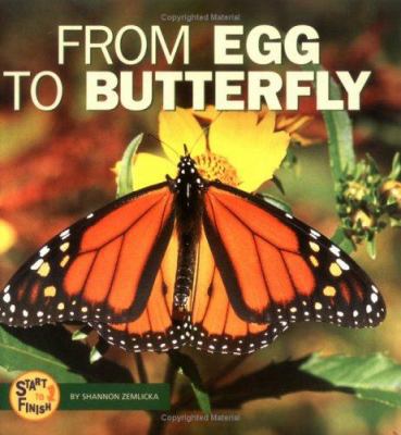 From Egg to Butterfly 0822507137 Book Cover