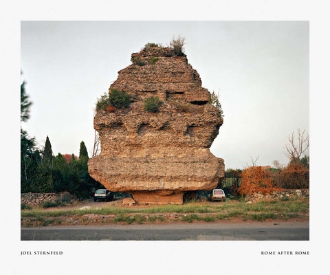 Joel Sternfeld: Rome After Rome 3958292631 Book Cover