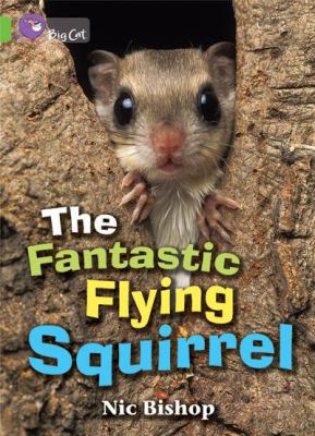 The Fantastic Flying Squirrel
