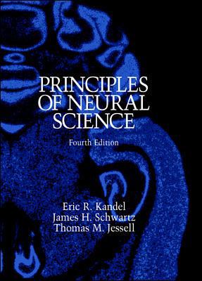 Principals of Neural Science 0838577016 Book Cover