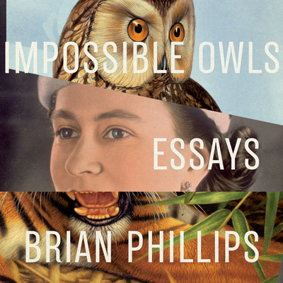 Impossible Owls: Essays 1684414601 Book Cover
