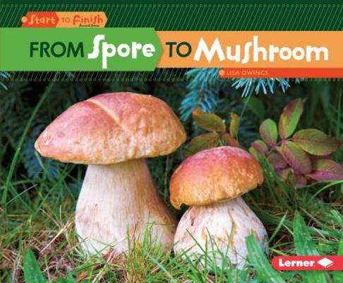 From Spore to Mushroom 1512434418 Book Cover